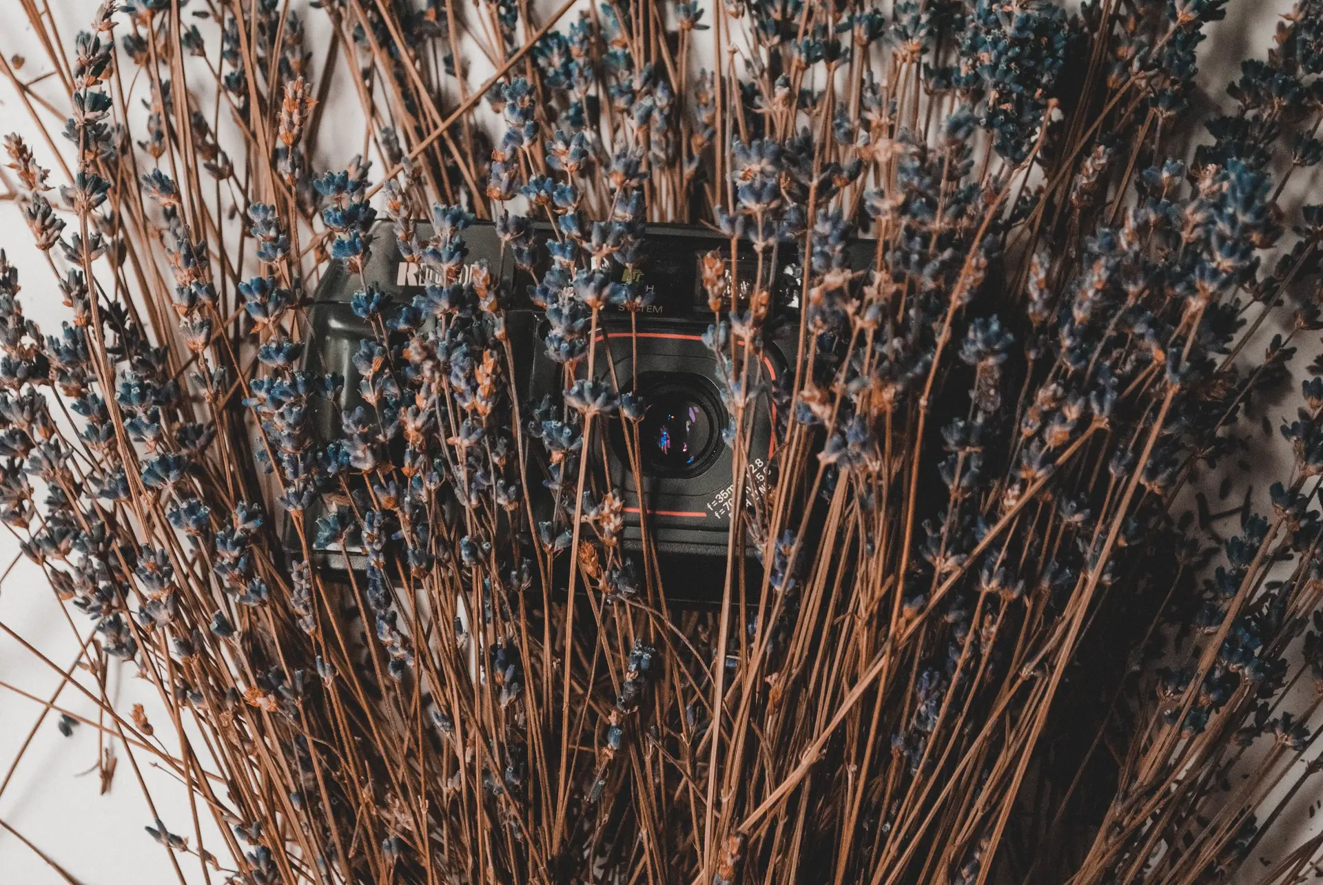 Produktfotografie in natürlicher Umgebung