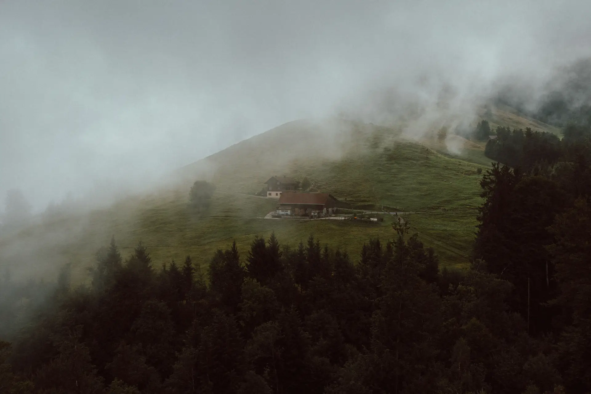 FieldroostStudio Nature Aesthetic