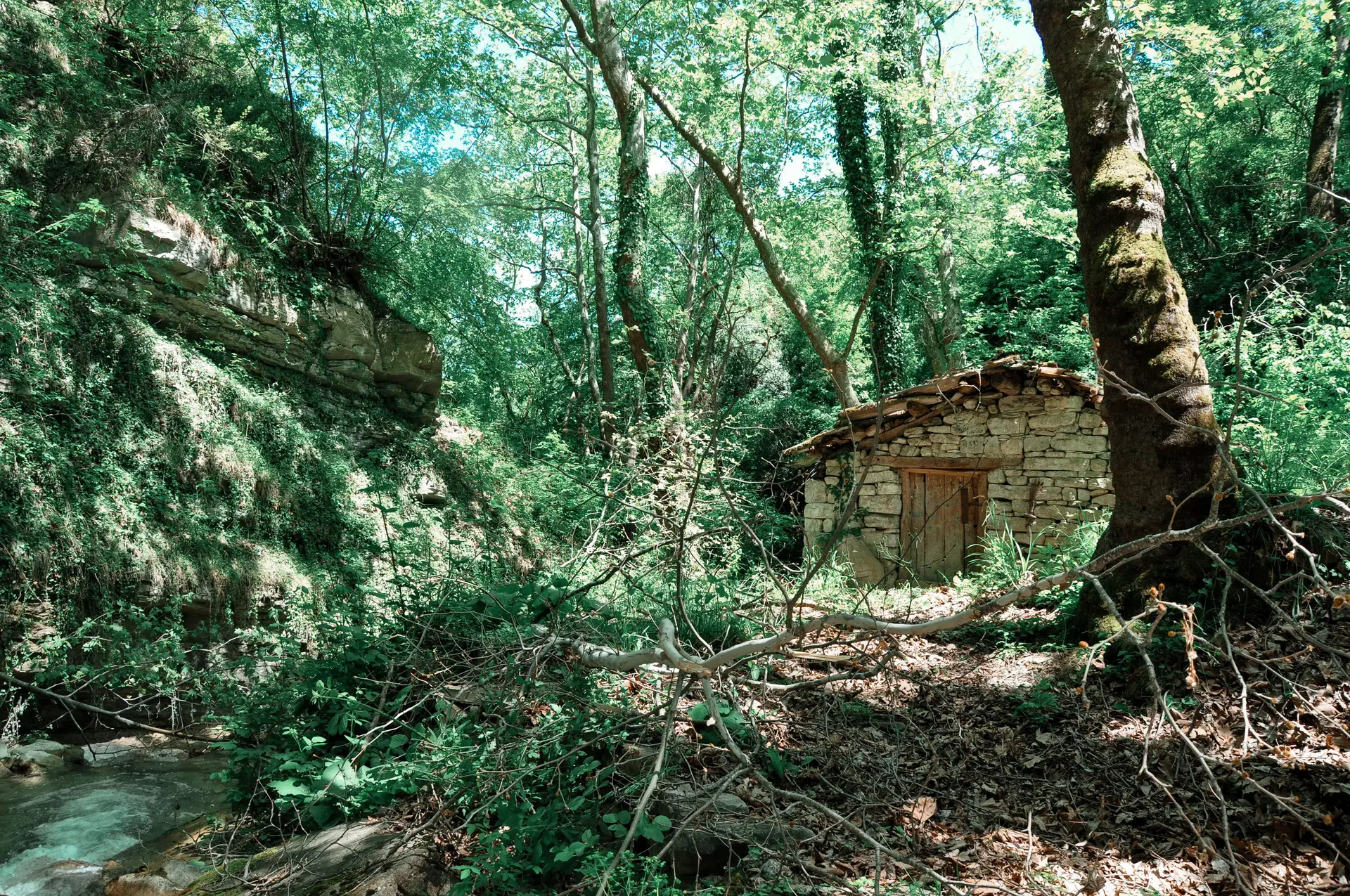 Biohof-Marke Niedersachsen